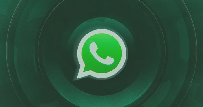 WhatsApp Now Lets You Mute Individual Users During Group Calls