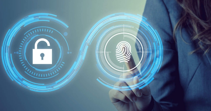 Biometric Authentication Might Be the Weak Link in the Security of the Metaverse