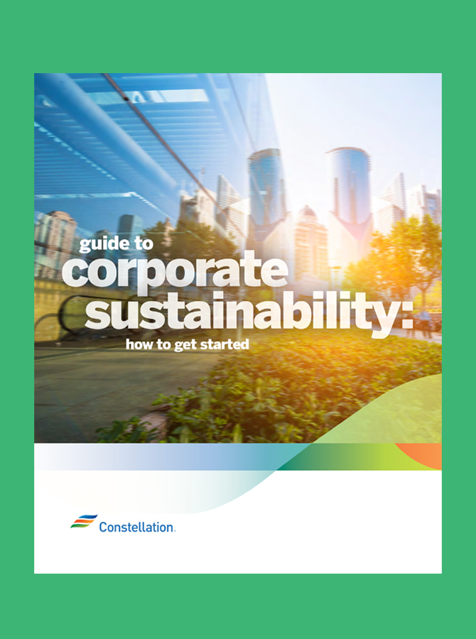 Guide to Corporate Sustainability: How to Get Started