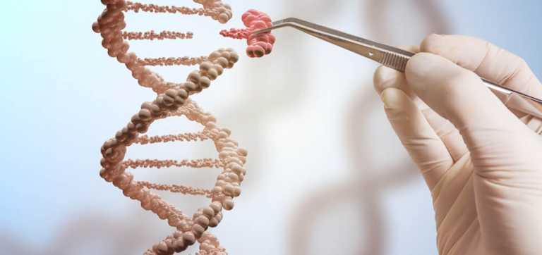 The Morality Of Genetic Engineering