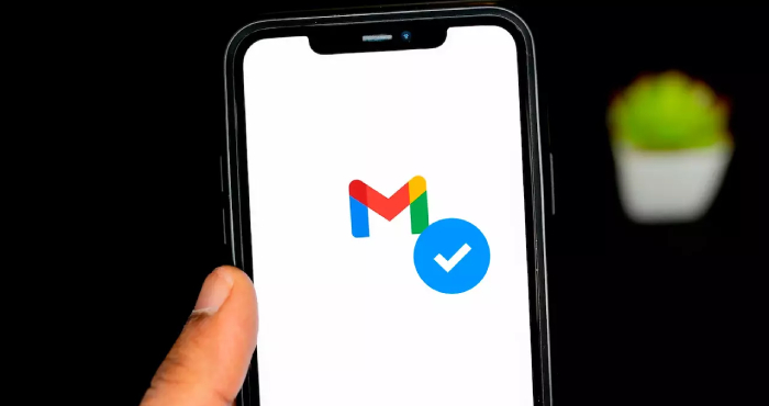 Gmail Now Offers Blue Verification Checks as Well
