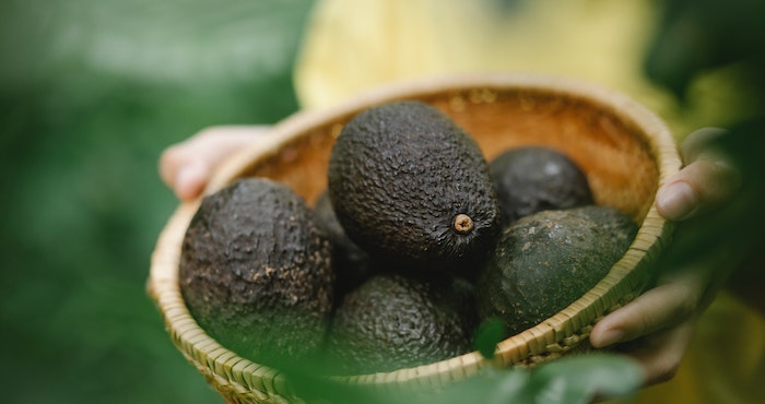 GuaBot: Chipotle Unveils Avocado Automation for Perfect Guacamole
