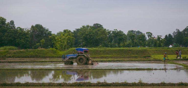 Desde el campo hasta el pronóstico: cómo los agricultores están utilizando la IA para predecir el rendimiento de los cultivos